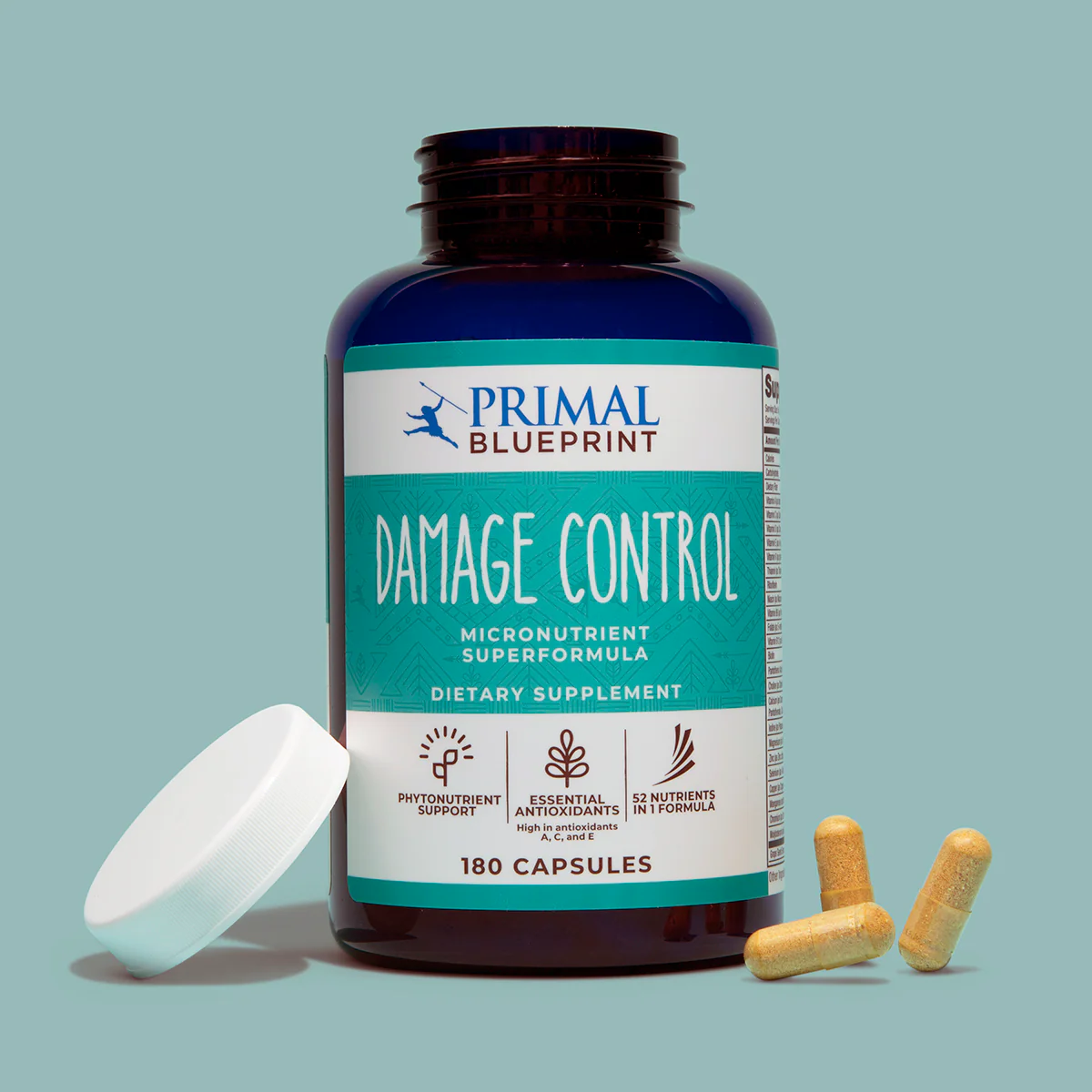 Primal Damage Control - Image 2